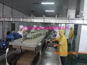 亿鸿食品机械 以卓越品质与智能技术，引领鱼罐头沥水机新标准